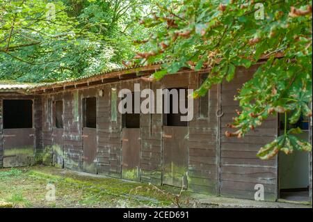 Disused horse boxes in woodland near Warminster, Wiltshire, UK. Stock Photo