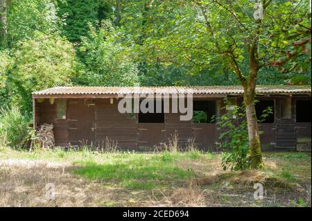 Disused horse boxes in woodland near Warminster, Wiltshire, UK. Stock Photo