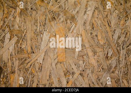 Texture oriented strand board osb plate. Stock Photo
