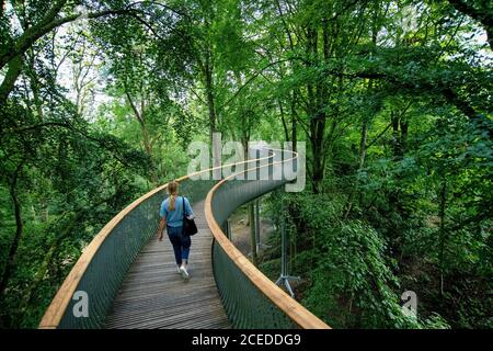 The Viper, a winding treetop walkway at The Newt in Somerset. Stock Photo