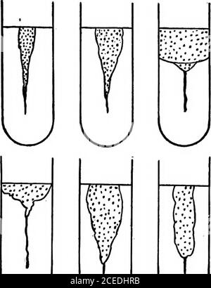 . A laboratory guide in bacteriology, for the use of students, teachers, and practitioners. BACTERIOLOGICAL TECHNIC 65. y^ KJ ^ Fig. S3Liquefaction of Gelatin Stock Photo