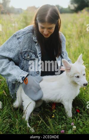 Woman combing out puppy fur with special glove in summer park. Person grooming and brushing cute white fluffy puppy with deshedding glove. Pet Groomin Stock Photo