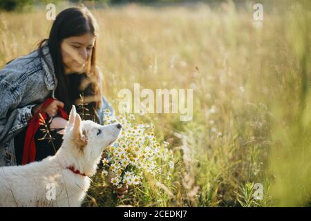 Cute white puppy smelling daisy flowers in warm sunset light in summer meadow. Stylish girl showing bouquet of flowers to adorable fluffy puppy. Adopt Stock Photo