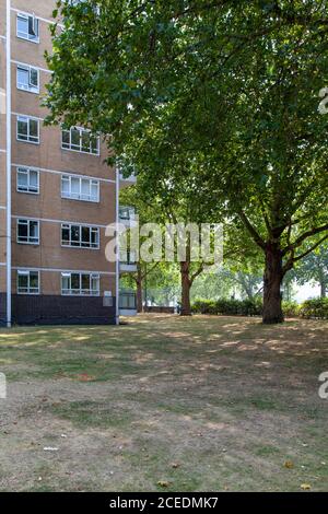 London Planes cast their shade on the pioneering mid-twentieth century architecture of Churchill Gardens Estate, Pimlico, London SW1 Stock Photo