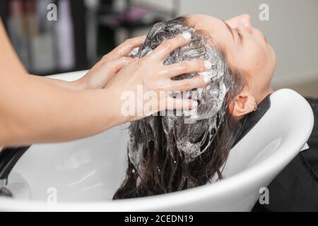 Shampooing hair in spa beauty salon of young brunette woman, hairdresser caring for client Stock Photo