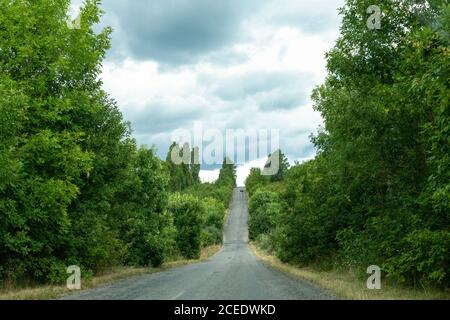 Beautiful sceneric view at the road among green trees and brushes, cloud sky. Stock Photo