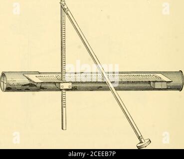 . Forest mensuration. scale ad at the point below the apex a ...