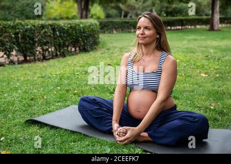 Pregnant attractive Woman meditating on mat in park Stock Photo