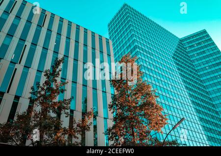 Turquoise filter view to skyscraper corporate buildings of futuristic geometric shapes. Check pattern and stripes of glass and steel of modern wall ar Stock Photo