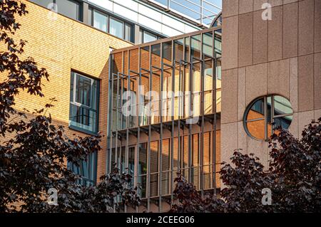 Glass gallery and round window of modern corporate building in Hamburg Germany. Unusual architecture flamed by autumn color foliage of trees Stock Photo