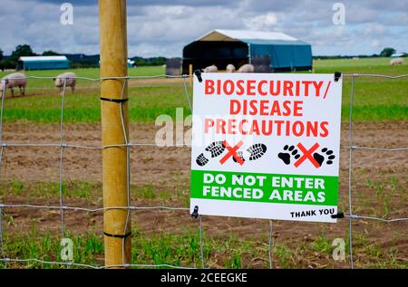 biosecurity disease precautions sign on fence at outdoor pig farm, norfolk, england Stock Photo