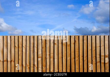 timber fence panel on blue sky background Stock Photo