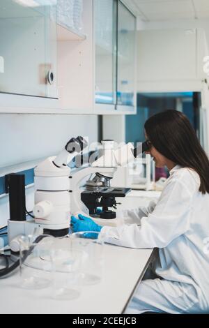 Young Woman using microscope in laboratory Stock Photo