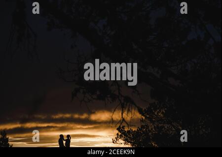 silhouette of a young couple kissing at sunset Stock Photo - Alamy
