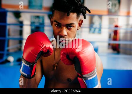 Boxer punching the air Stock Photo - Alamy