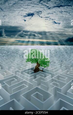 Green issues maze finding your way back to nature concept Stock Photo