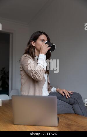 Adult lady in elegant outfit enjoying hot drink and looking away while sitting on office desk near modern laptop Stock Photo