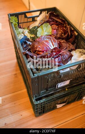 Box filled with green vegetables Stock Photo