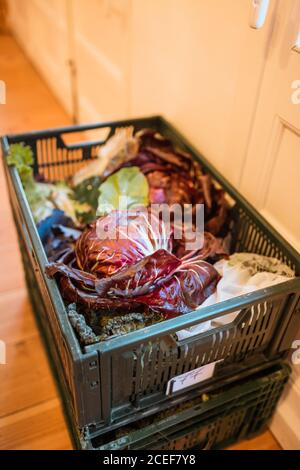 Box filled with red and green vegetables and herbs prepared for cooking. Stock Photo
