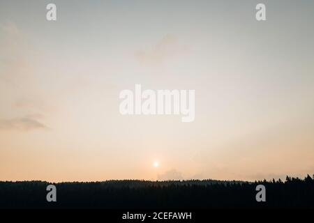 Beautiful sunset over the mountain pine forest Stock Photo