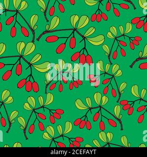 Branch with leaves and ripe barberry berries, green background. Stock Vector