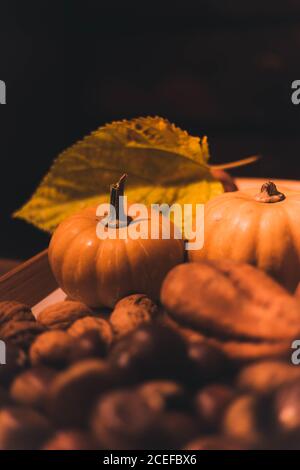 Closeup shot of heap of fresh nuts lying near small pumpkins and autumn leaves on black background Stock Photo