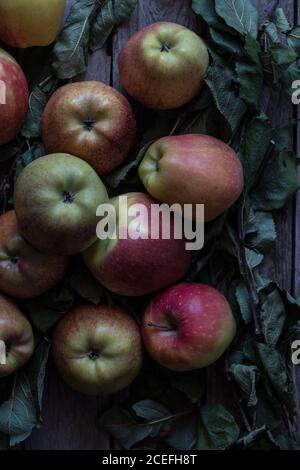Apples and leaves on table Stock Photo