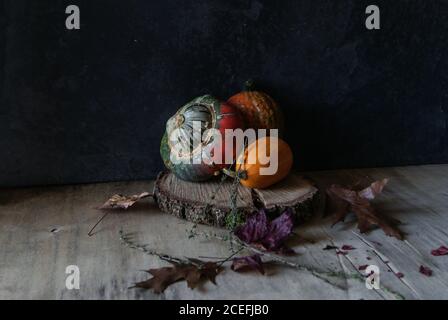 Bright pumpkin composition on wood slice Stock Photo