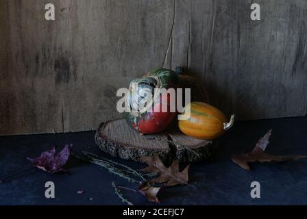 Bright pumpkin composition on wood slice Stock Photo
