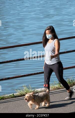 An attractive young lady wearing a surgical mask walks her dog on a path by the lake in Kissena Park, Flushing, Queens, New York City/ Stock Photo
