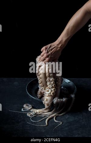 Hand of anonymous person holding tentacles of raw octopus over plate and marble tabletop on black background Stock Photo