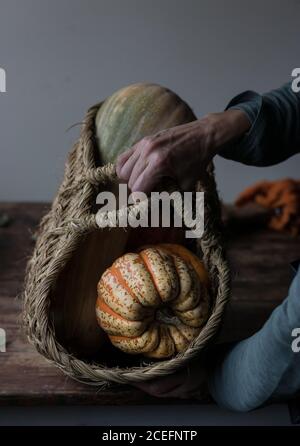 From above shot of hand of anonymous female holding basket with ripe pumpkins Stock Photo
