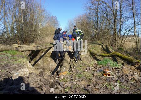 people build a bridge over a ravine, construction of a wooden pedestrian bridge in the forest, Russia, Kaliningrad region, March 15, 2020 Stock Photo