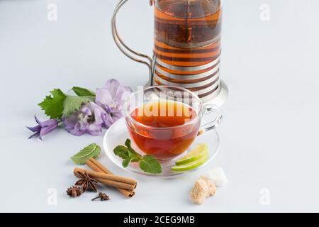 Beautiful set of hot black tea in glass cup on saucer placed on white background with brown sugar, cinnamon, leaves of mint, flowers and slices of citrus fruits on saucers with teapot behind Stock Photo