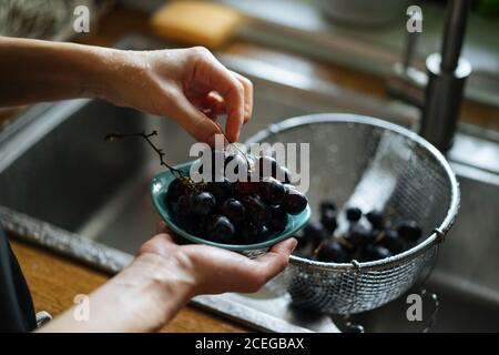 Crop female hands holding wire strainer with bright grapes strawberries under sink tap on wooden?counter from above Stock Photo