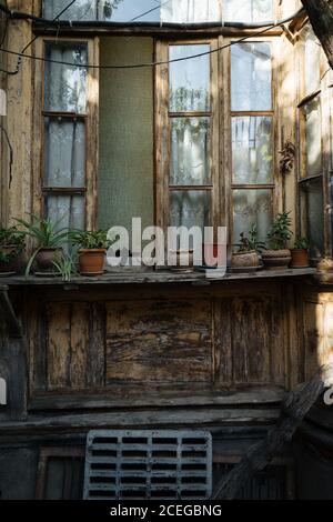 Outdoors view of old open wooden window with narrow casement with weathered wooden plank walls and pots with plants standing on curved worn out sill in daylight Stock Photo