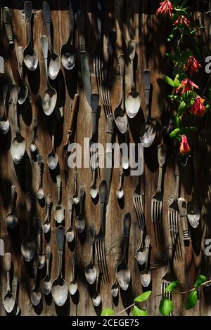 Garden composition of vintage spoons, forks and knives attached to withered wooden plank wall with plants around on sunny day Stock Photo