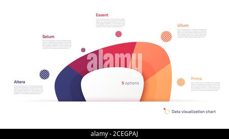 Vector pie chart infographic template in the form of abstract shape divided by five parts Stock Vector