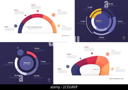 Set of vector circle chart designs, modern templates for creating infographics, presentations, reports, visualizations Stock Vector