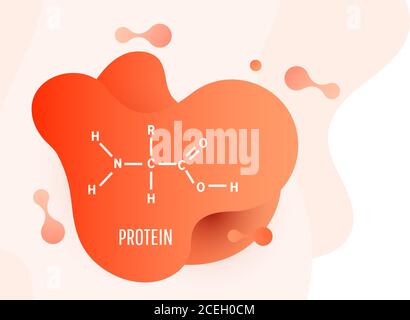 Protein. Structural chemical formula and model of molecules on orange fluid liquid background with copy space. Vector illustration Stock Vector