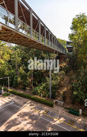 The steel structure of the Sky Bridge spans a wooded gully and the road beneath it in Darwin, Australia, connecting the city centre with the Waterfront precinct. Stock Photo