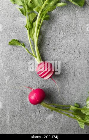 Freshly harvested, purple colorful radish on gray concrete background. Growing radish. Growing vegetables. Seasonal Cooking, food styling. European re Stock Photo