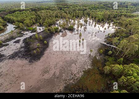 Aerial view of marshland in Rakula, Northern Territory, Australia Stock Photo