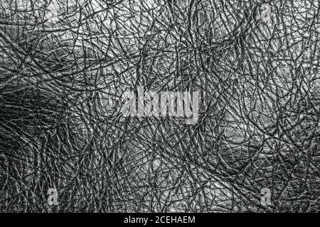 leather shiny texture Stock Photo