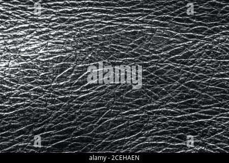 leather shiny texture Stock Photo
