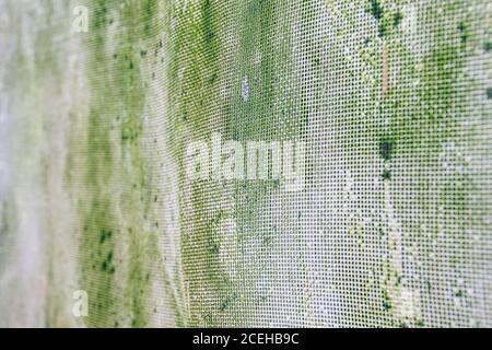 Old rusty mesh in blurring. Colorful pattern. Metal rusty fences. Stock Photo