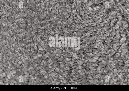 swimming pool bottom caustics ripple and flow with waves background texture. Black and white photography Stock Photo