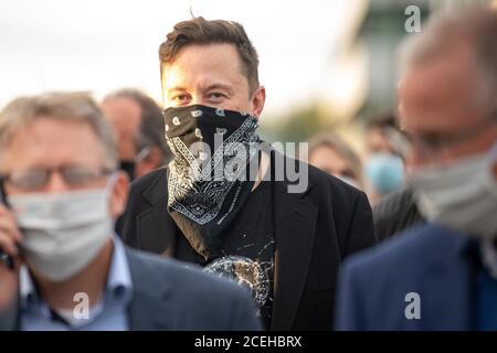 01 September 2020, Baden-Wuerttemberg, Tübingen: Technology entrepreneur Elon Musk goes from one building to the next during his visit to the biotech company Curevac. Photo: Sebastian Gollnow/dpa Stock Photo