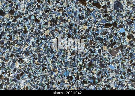 beach cockleshell background. seashell background texture. Multicolored seashells on the beach Stock Photo