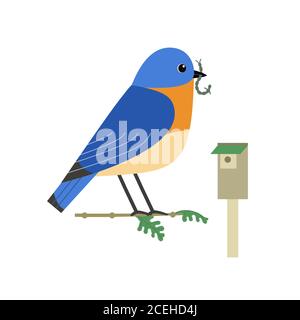 Eastern bluebird cute flat color vector icon Stock Vector